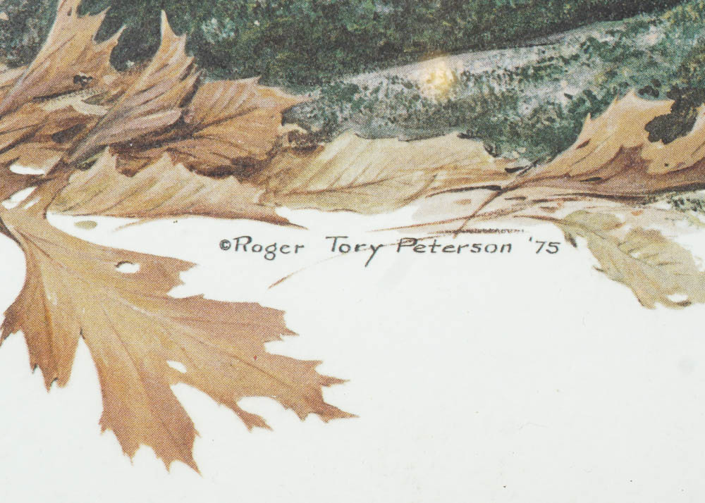 Bird Prints by Robert Tory Peterson