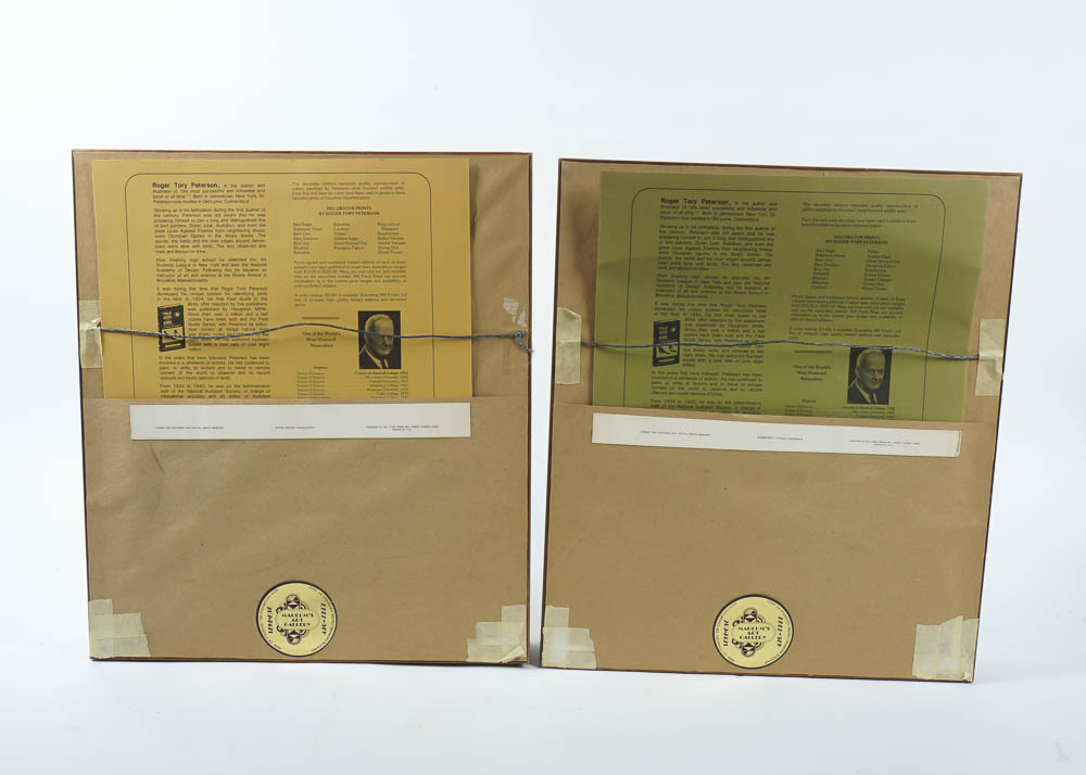 Bird Prints by Robert Tory Peterson