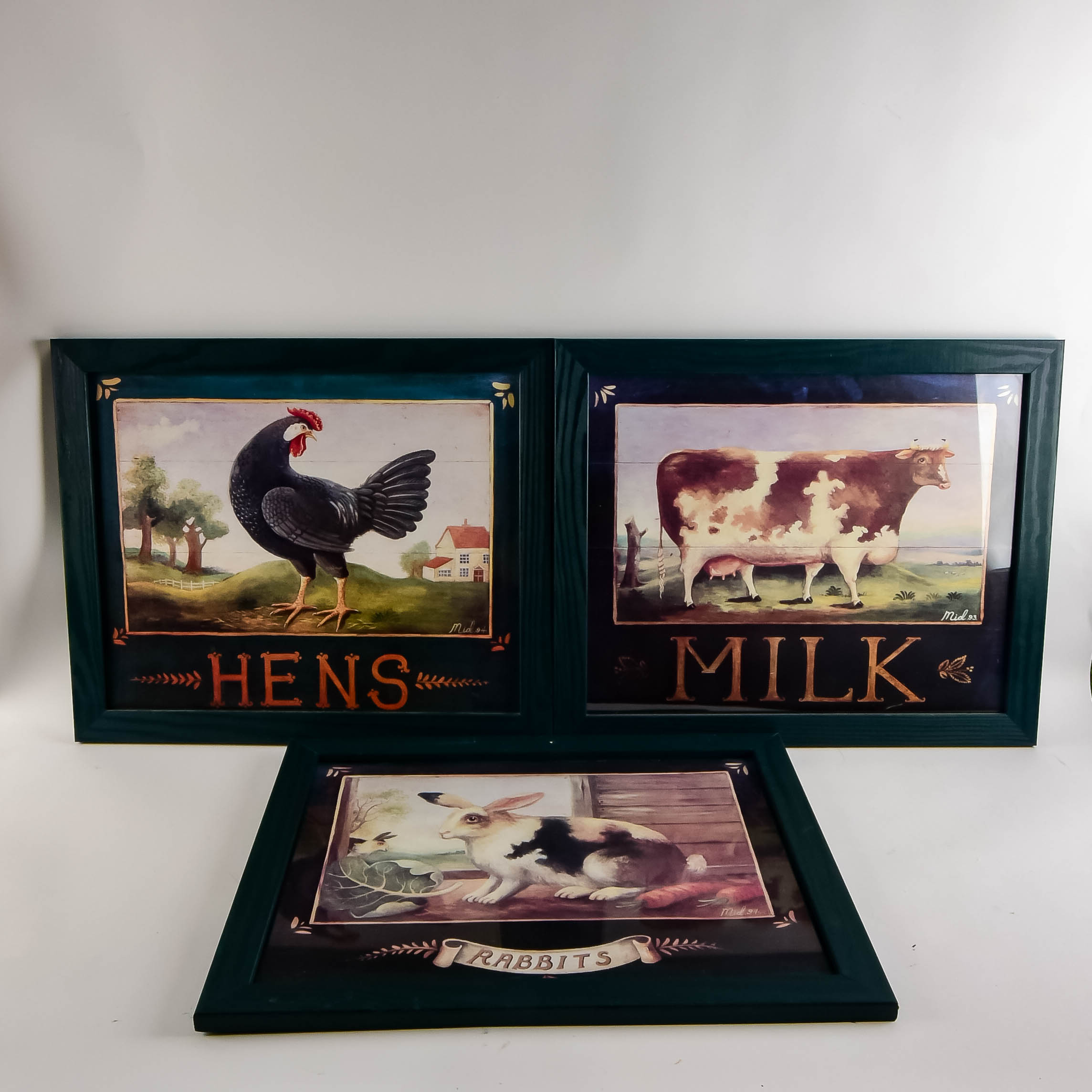Collection of Framed Animal Prints