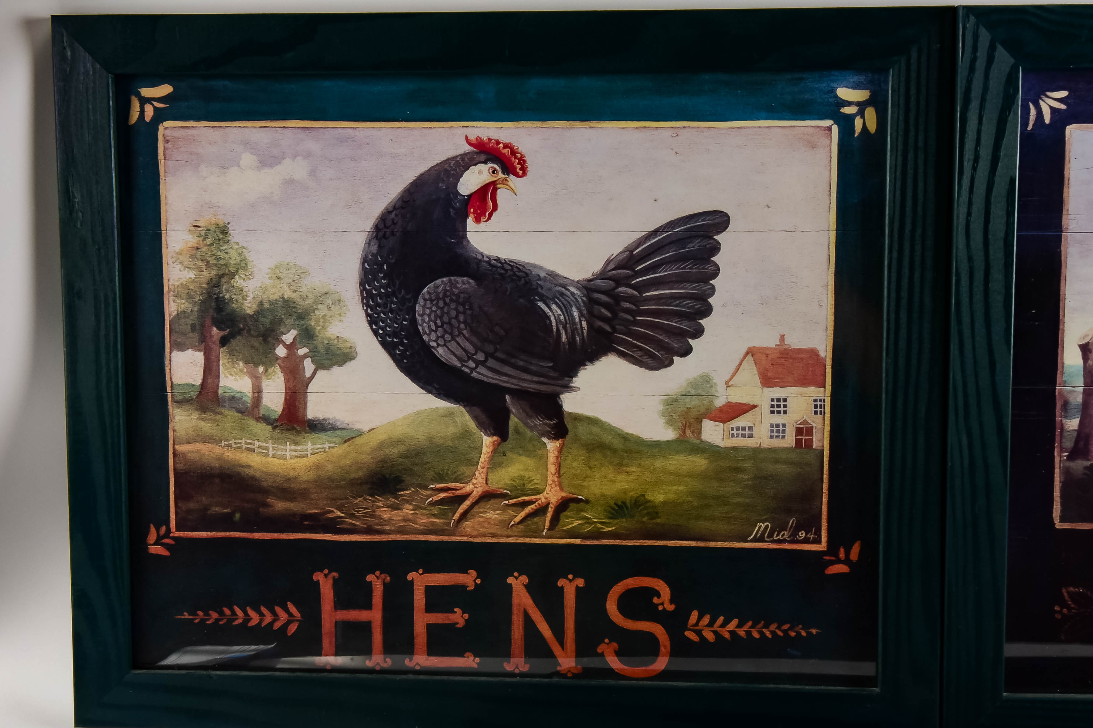 Collection of Framed Animal Prints