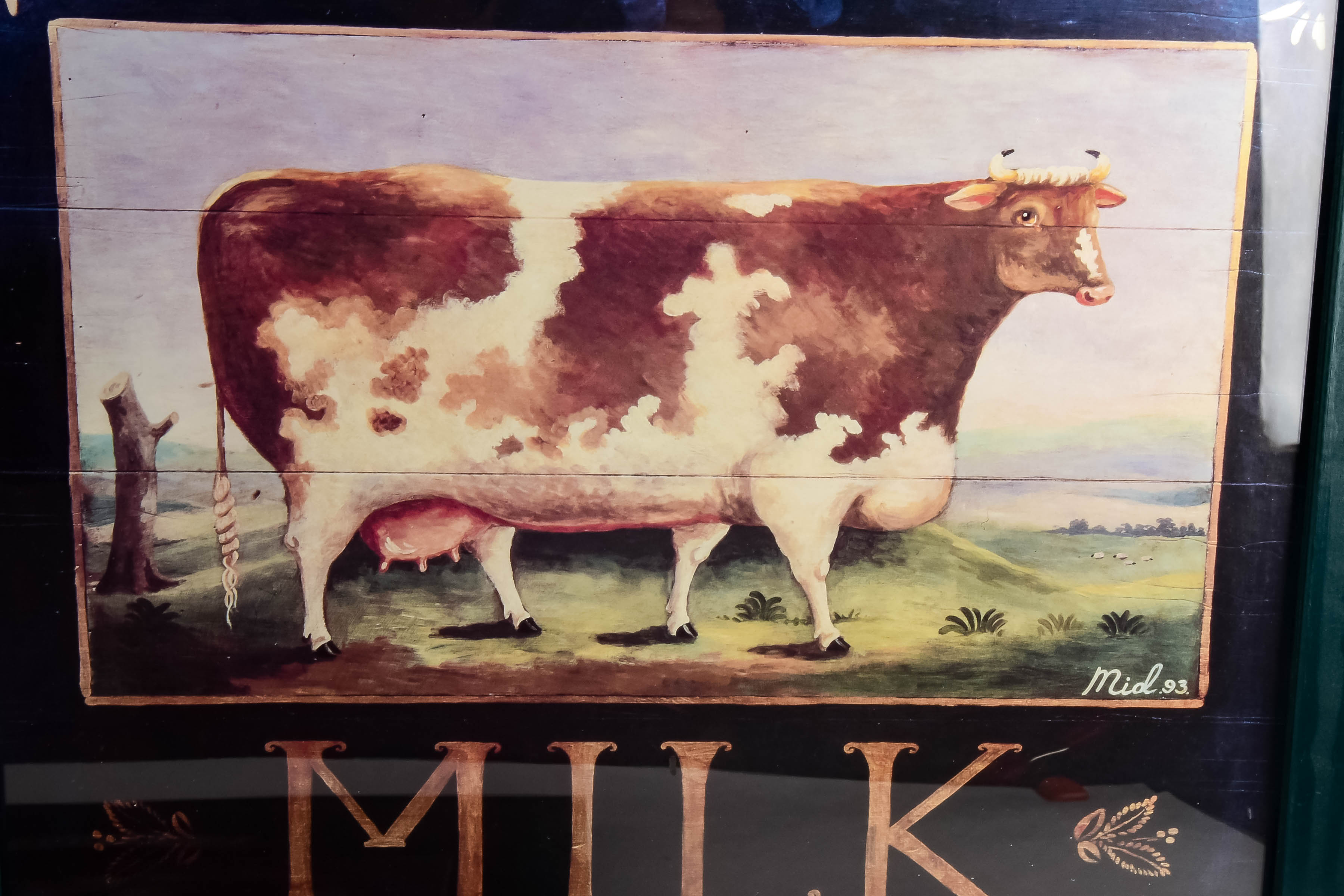 Collection of Framed Animal Prints