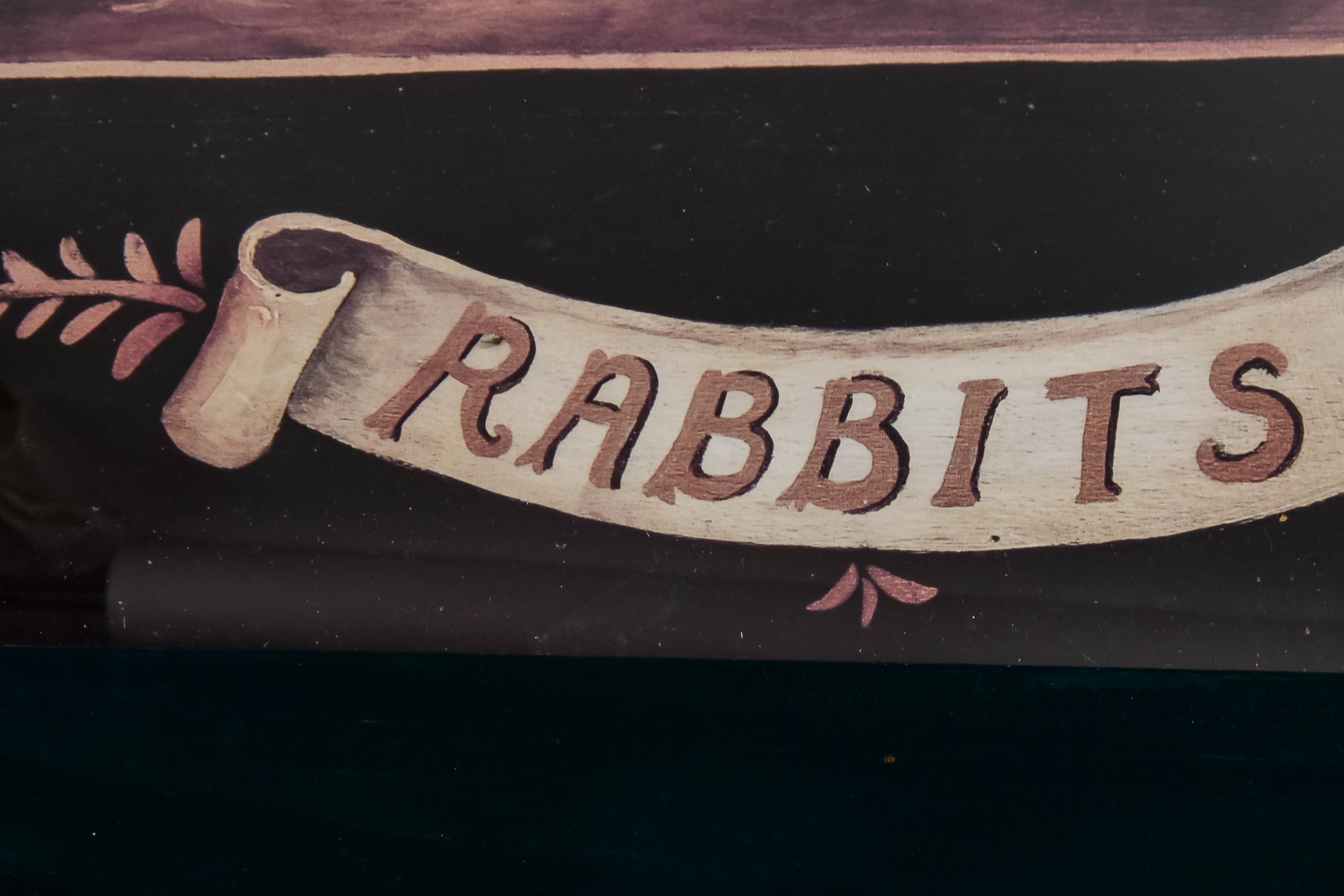 Collection of Framed Animal Prints