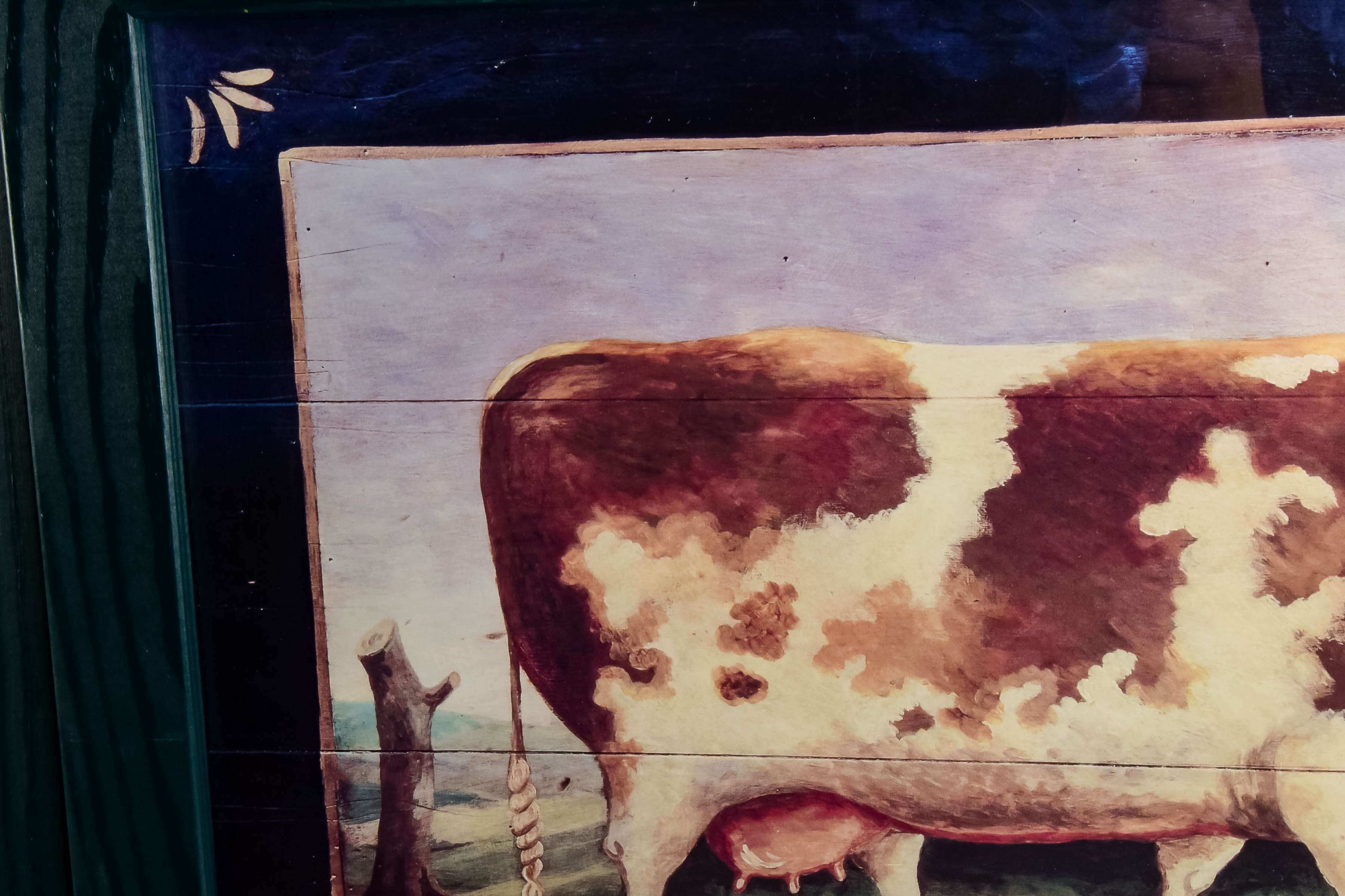 Collection of Framed Animal Prints