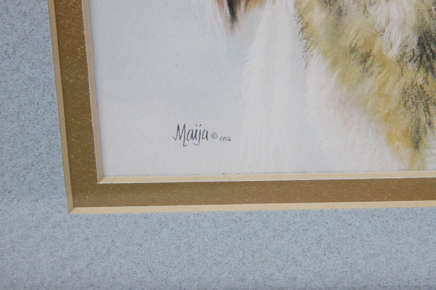 Collection of Maija Native American Prints