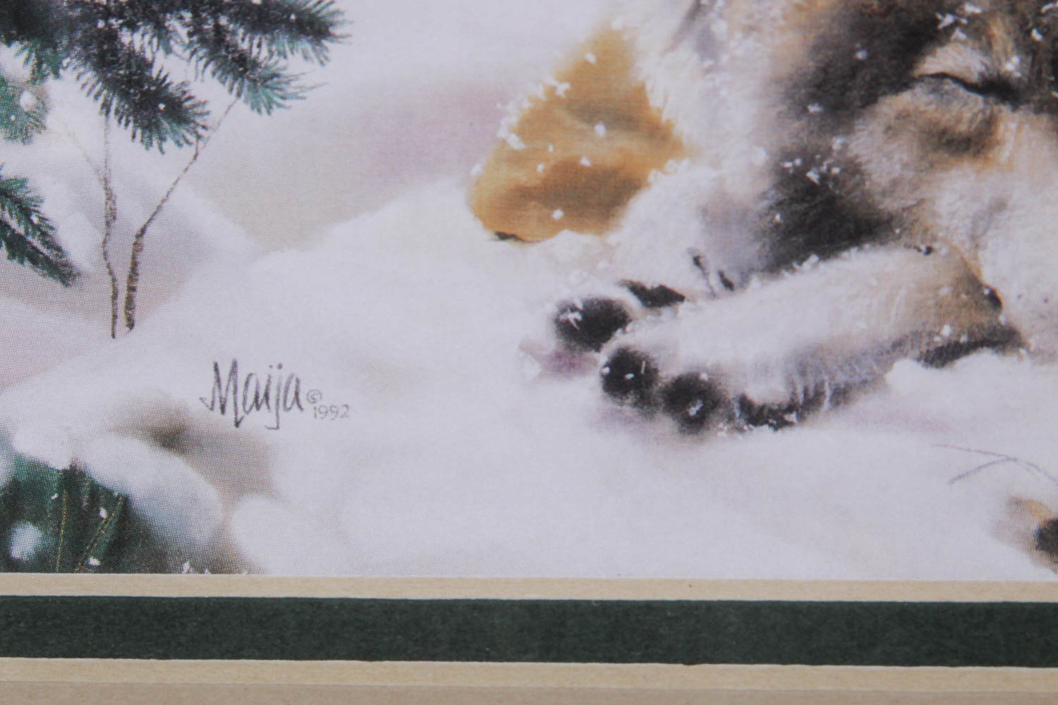 Collection of Maija Native American Prints