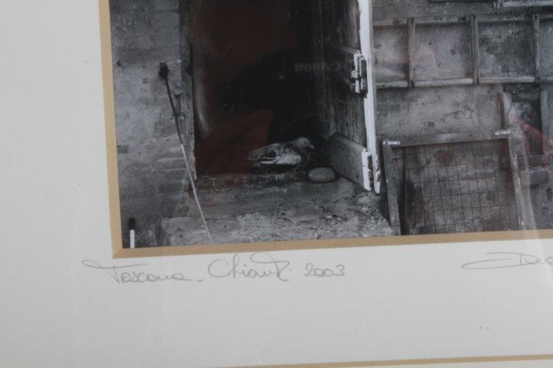 Duccio Nacci Signed Framed Photograph