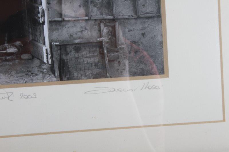 Duccio Nacci Signed Framed Photograph