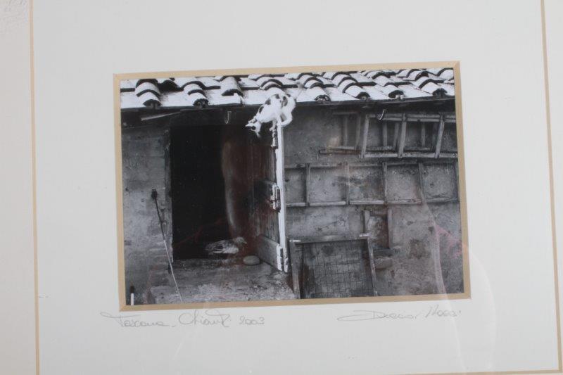 Duccio Nacci Signed Framed Photograph