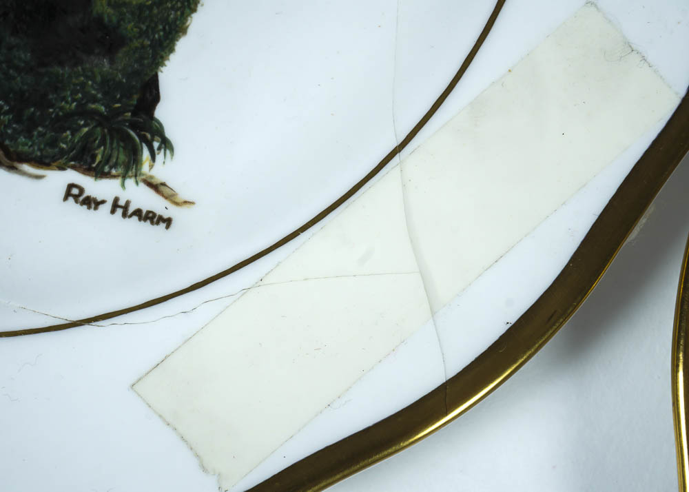 Ray Harm American Songbird Plates