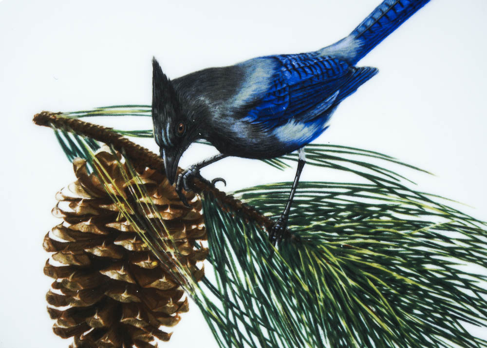 Ray Harm American Songbird Plates