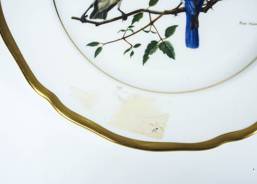 Ray Harm American Songbird Plates