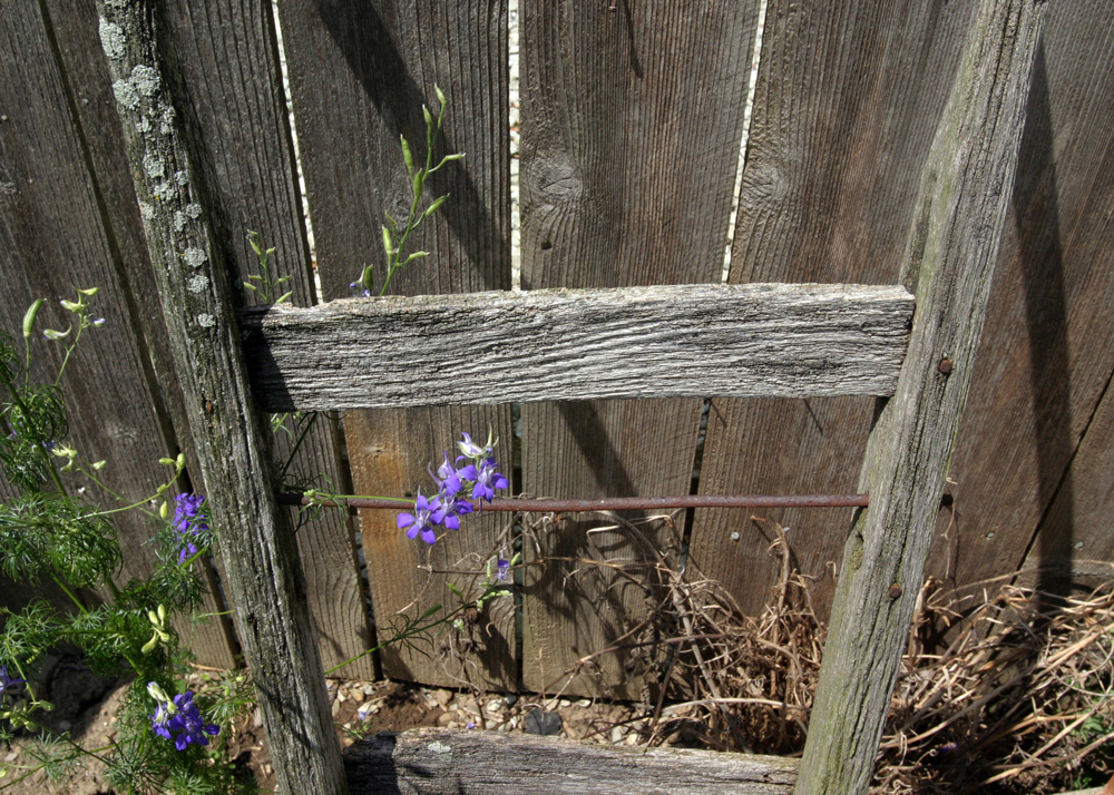 Antique Concrete Lawn Roller and Hand Truck