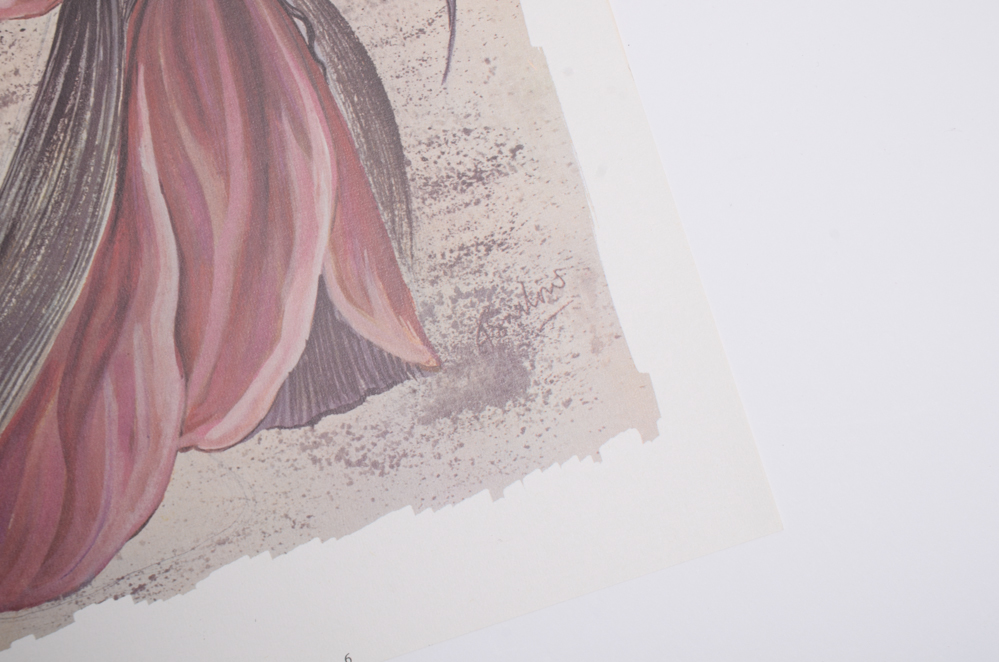 Souvenir Costume Design Prints from the Stratford Festival, Canada