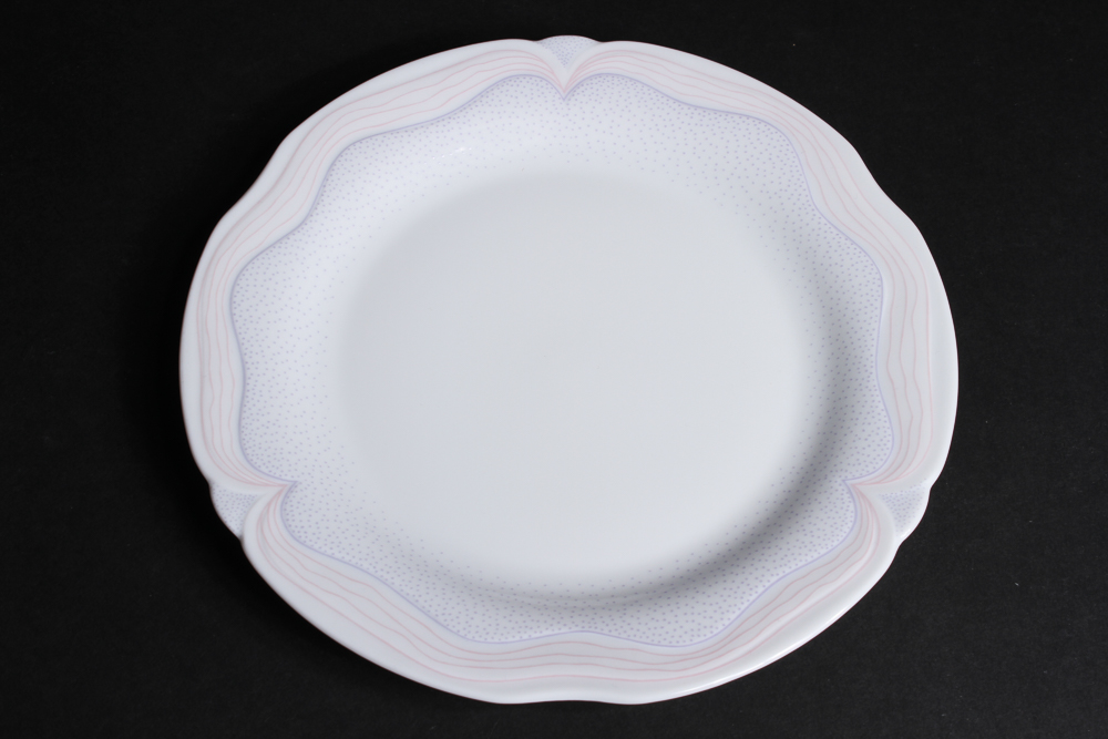 Bavarian Goebel Plaza China Dinner Service