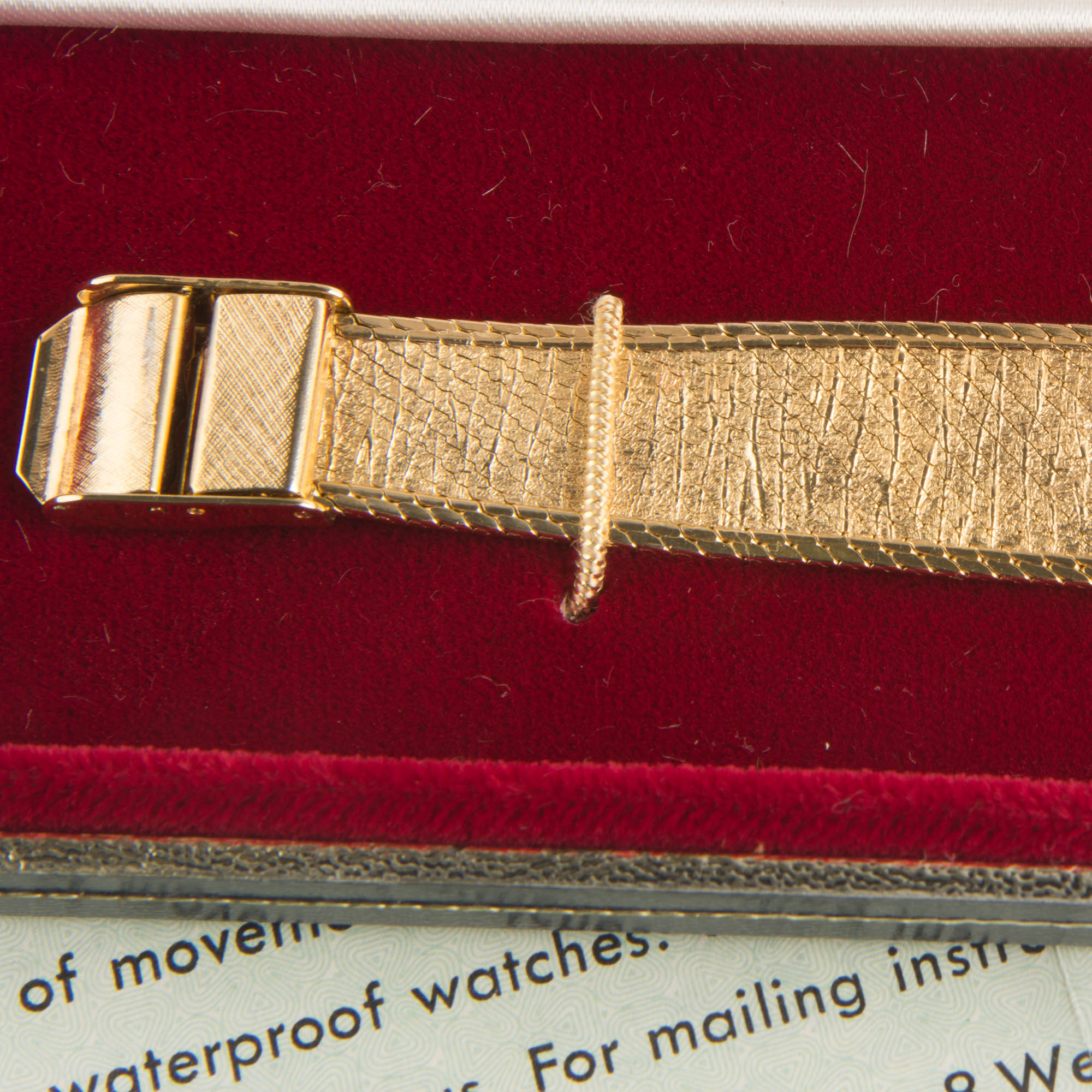 Paul Garnier 21 Jewels Watch