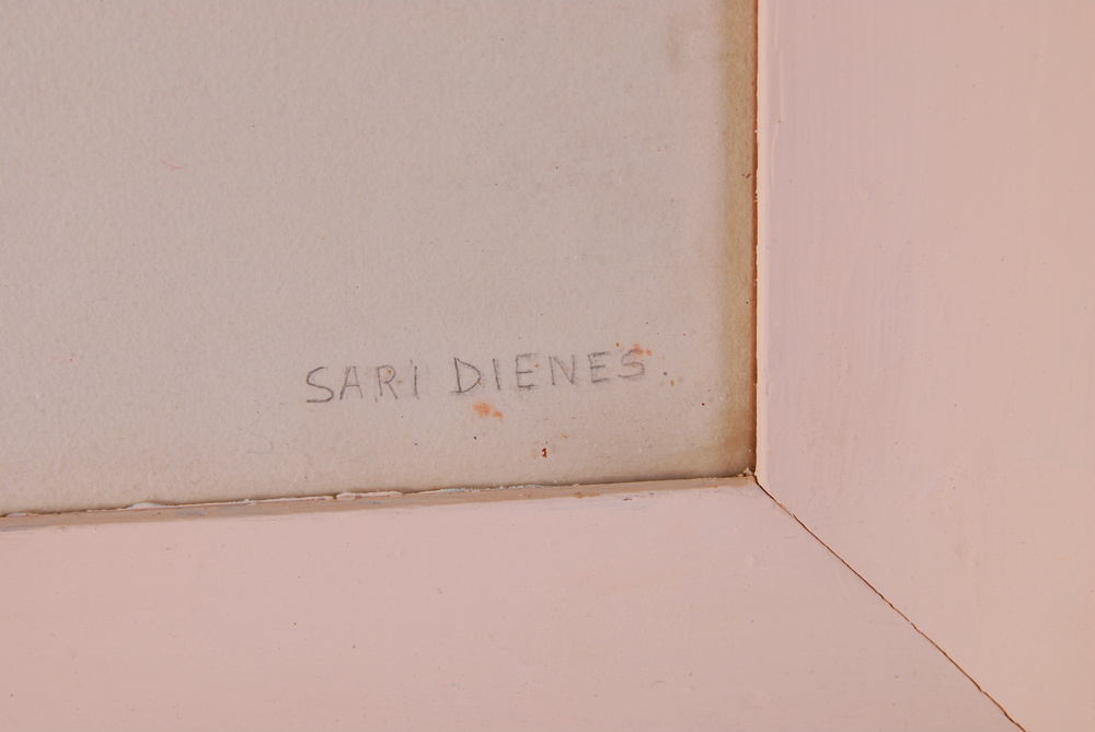 Sari Dienes Conte Crayon Drawing On Paper