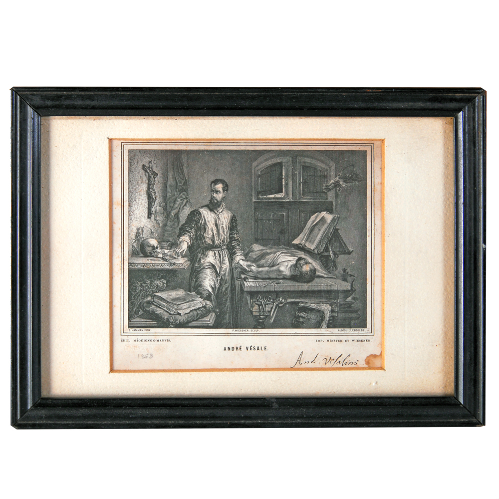 Offset Print By E. Milster After Edouard Hamman  "Andreas Vesalius"