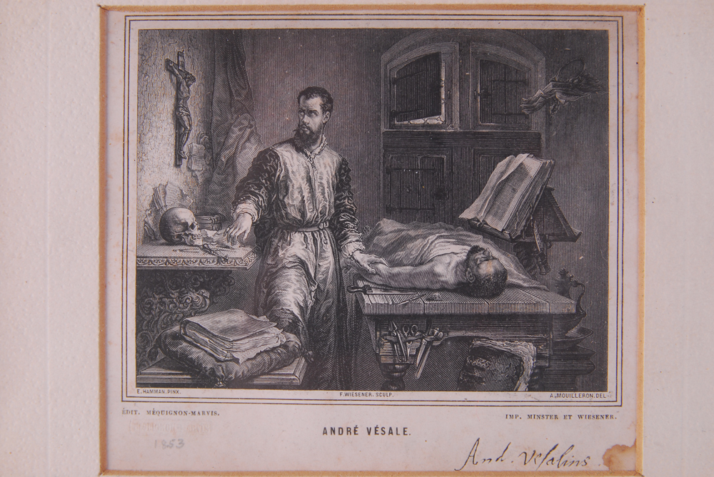 Offset Print By E. Milster After Edouard Hamman  "Andreas Vesalius"