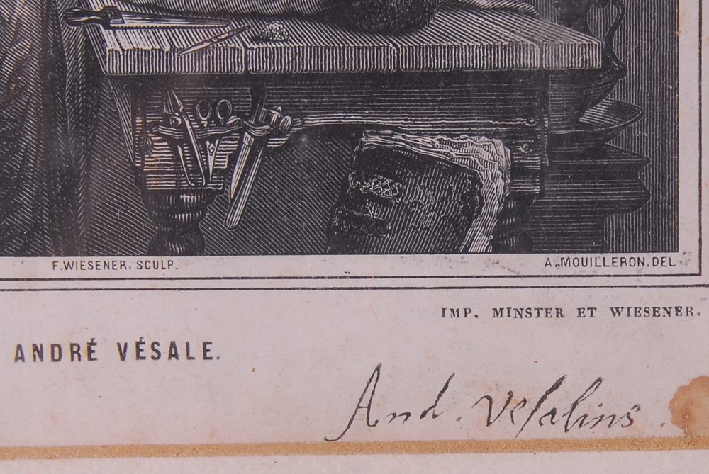 Offset Print By E. Milster After Edouard Hamman  "Andreas Vesalius"