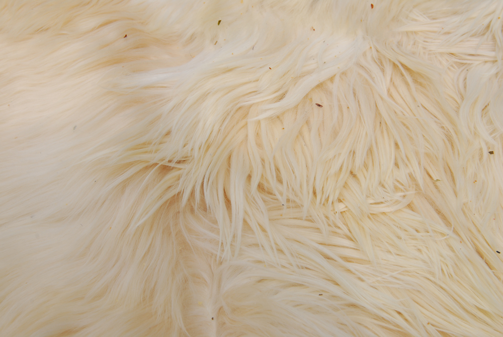 Natural Fur Area Rug