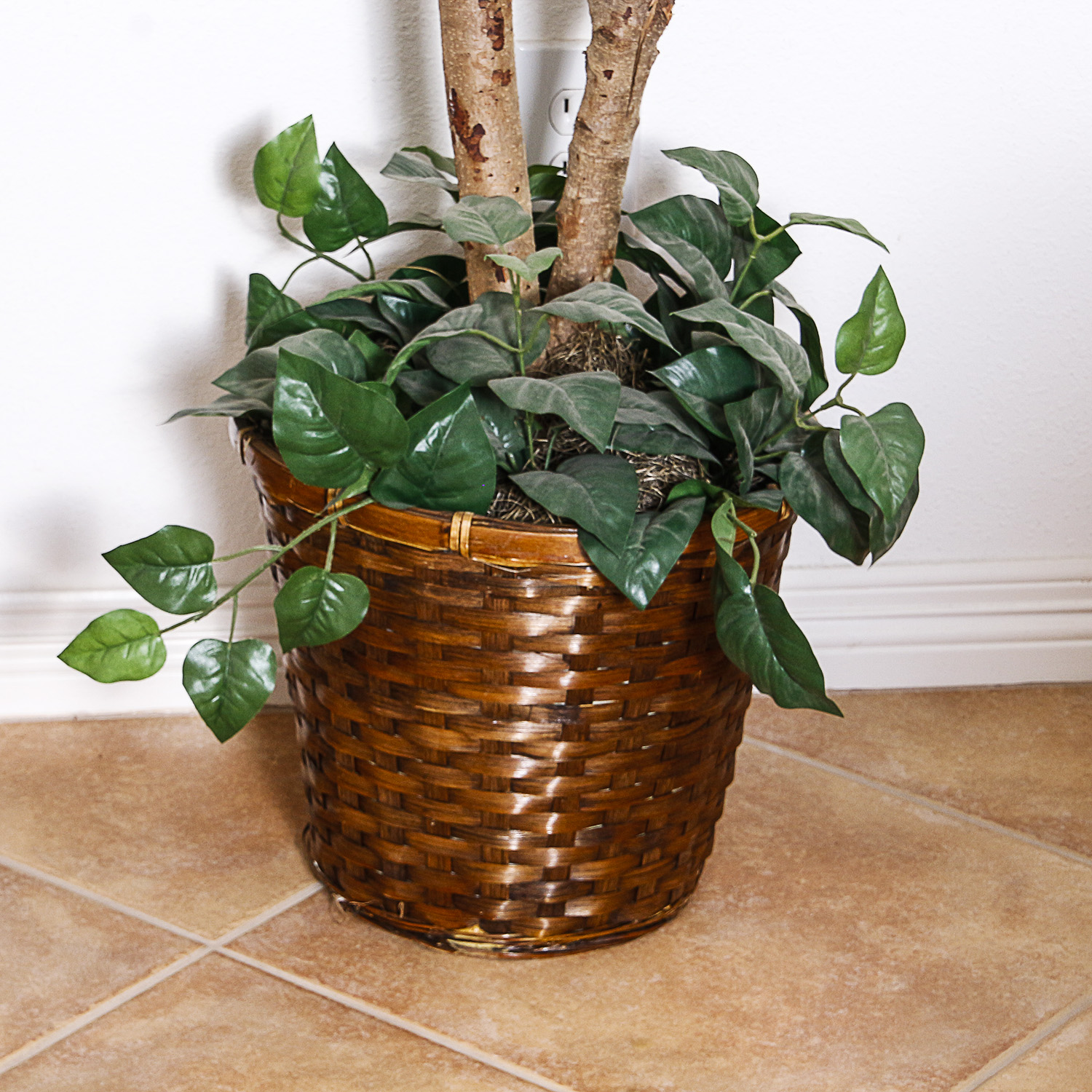 Two Silk Trees in Wicker Pots
