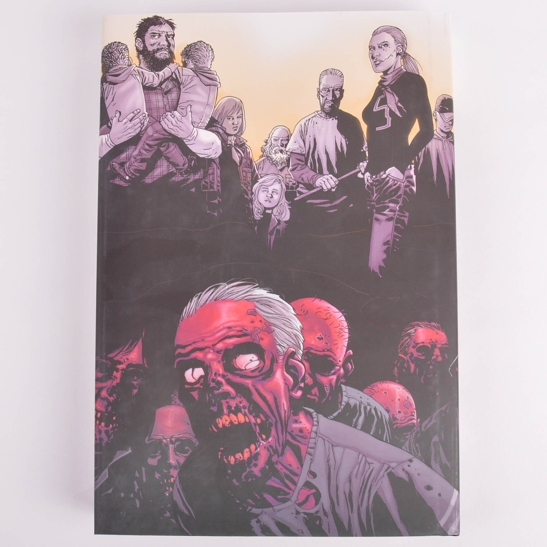 The Walking Dead Book 1 Omnibus First Printing Hardcover with Tony Moore Copic Painted Rick Grimes