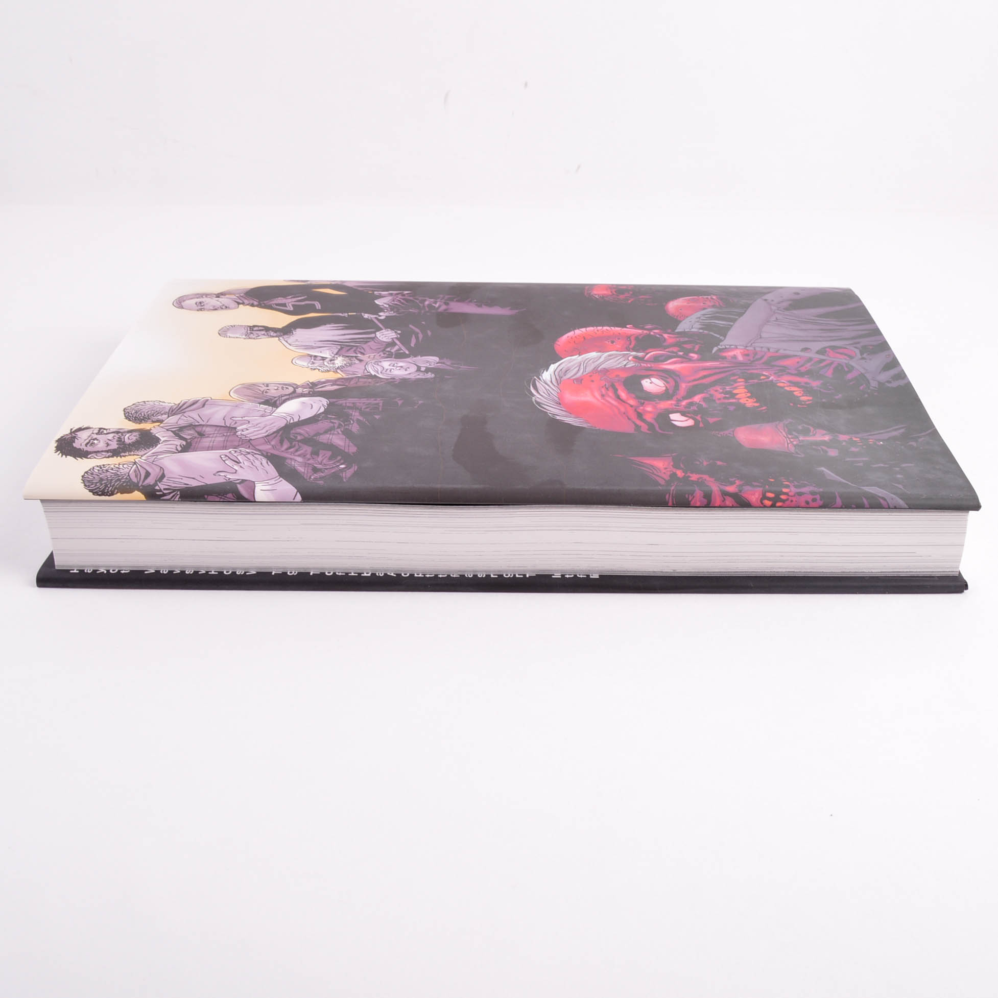 The Walking Dead Book 1 Omnibus First Printing Hardcover with Tony Moore Copic Painted Rick Grimes