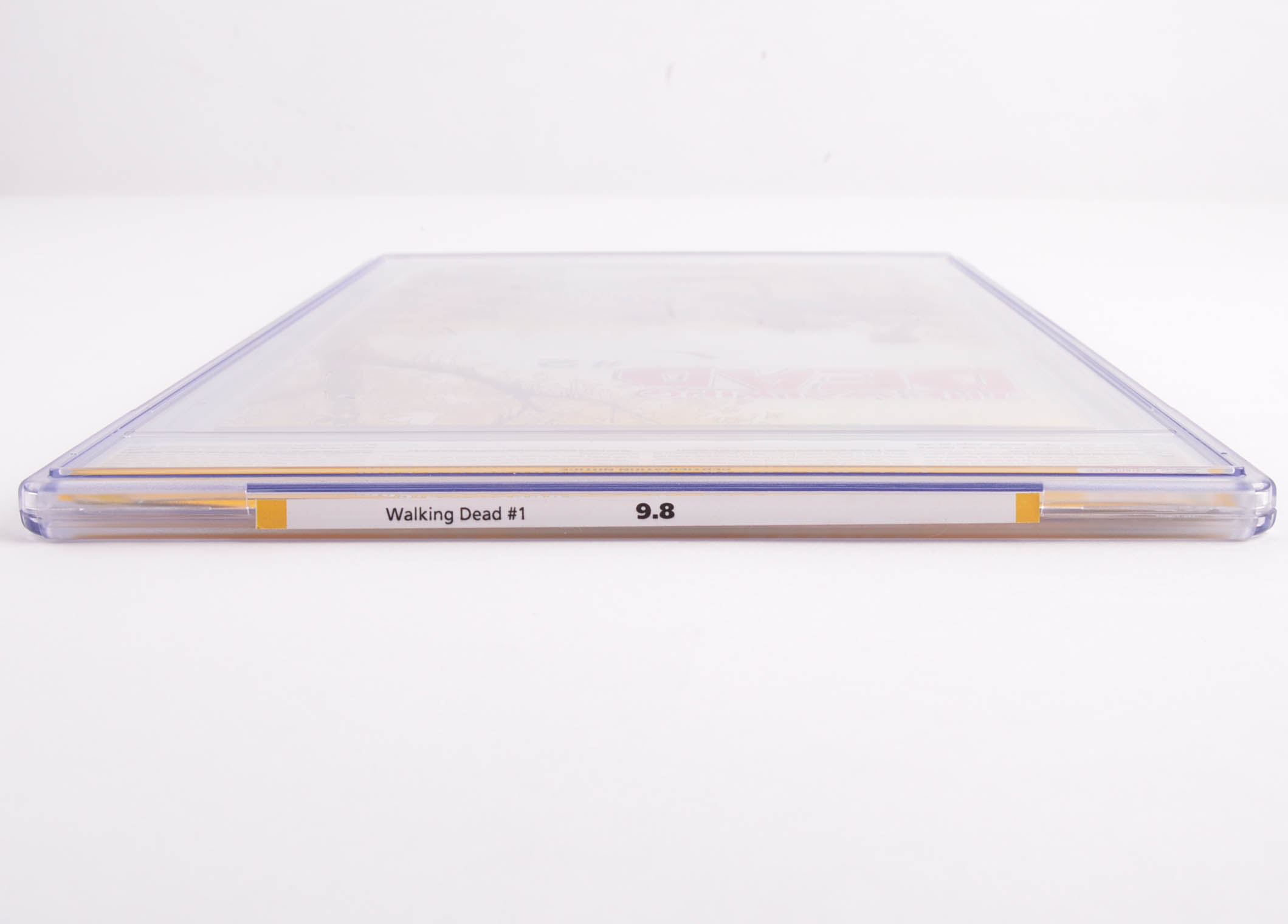 CGC Graded 9.8 Double Sketched and Signed The Walking Dead Issue #1 First Printing