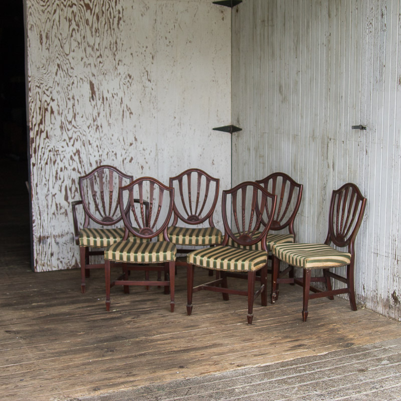 Vintage Sheraton Style Pedestal Dining Table and Chairs