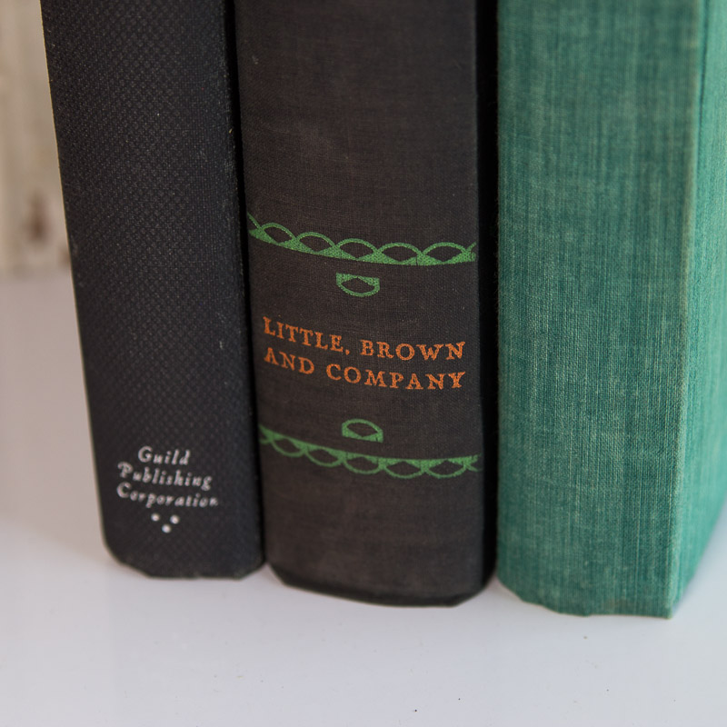 Presidential and Founding Father Theme Book Collection