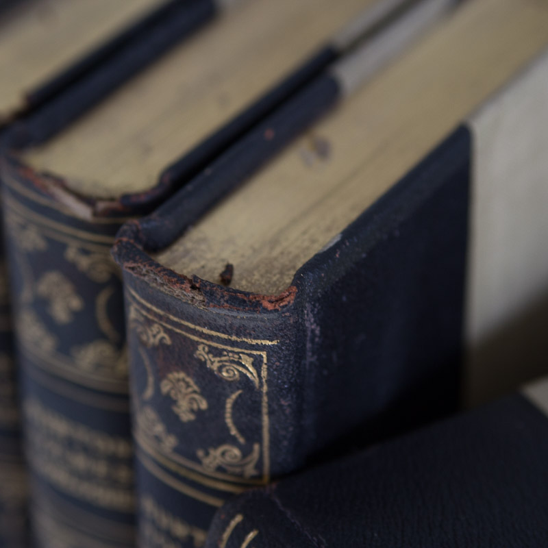 Complete 13 Volume "Burton Holmes Travelogues" (1919) with "Travel Tips" (1920)