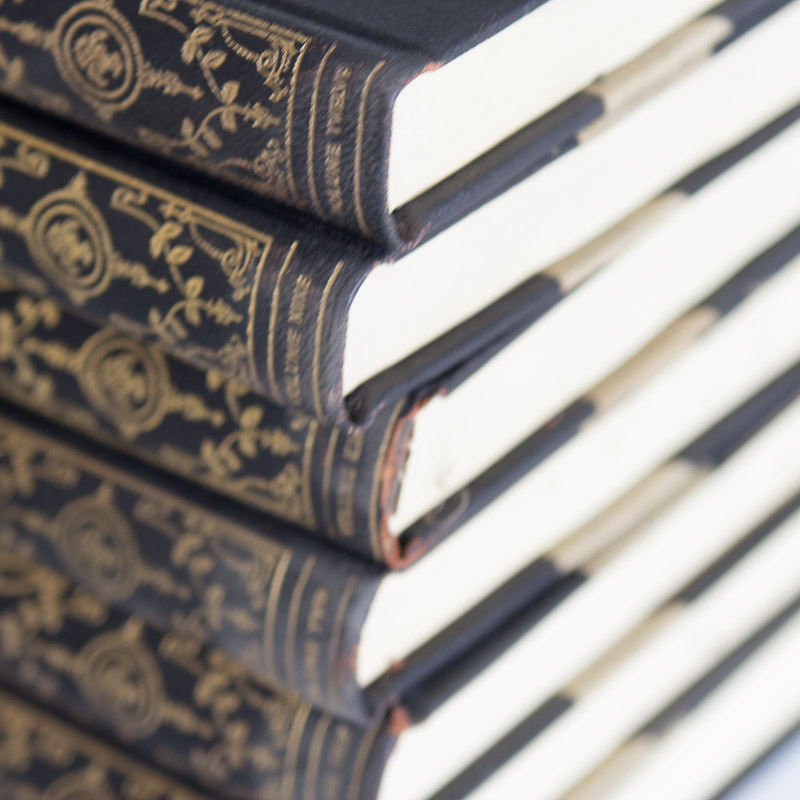 Complete 13 Volume "Burton Holmes Travelogues" (1919) with "Travel Tips" (1920)