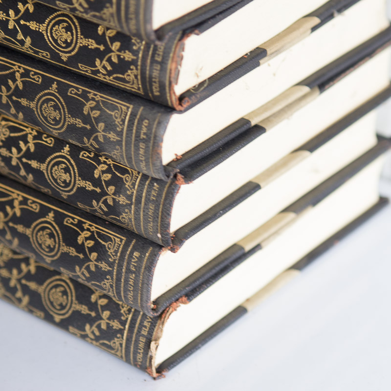 Complete 13 Volume "Burton Holmes Travelogues" (1919) with "Travel Tips" (1920)