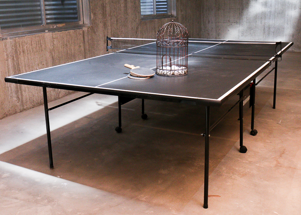 Harvard Brand Table Tennis Table and Kit