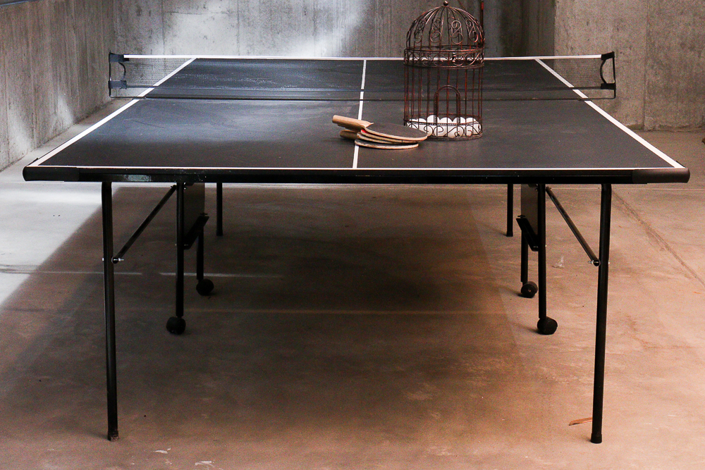 Harvard Brand Table Tennis Table and Kit
