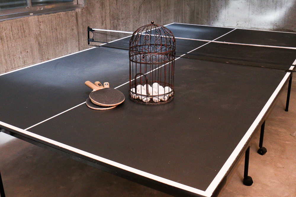 Harvard Brand Table Tennis Table and Kit