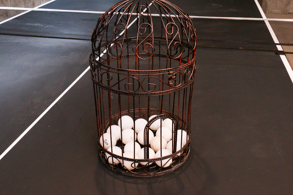 Harvard Brand Table Tennis Table and Kit