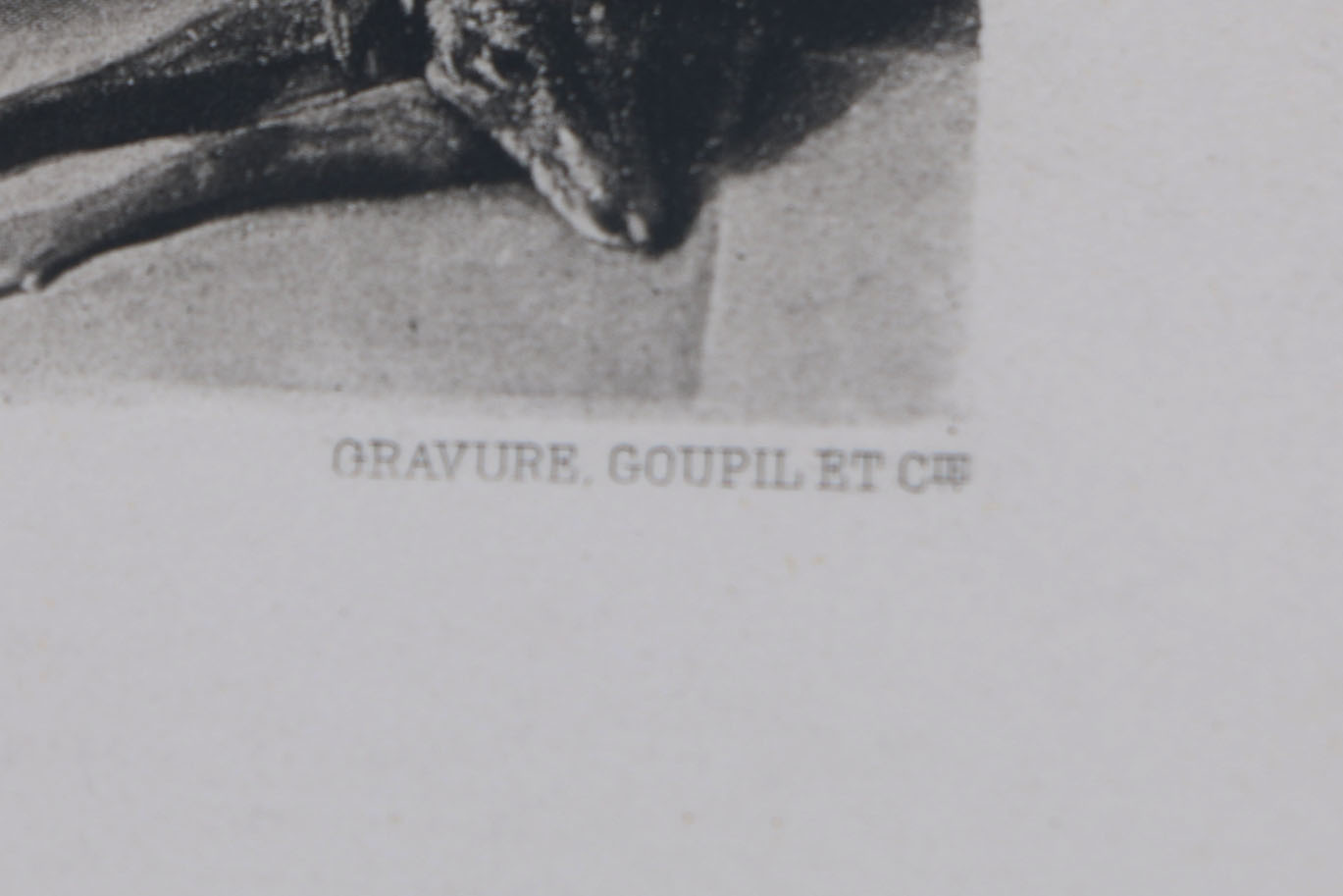 Collection of Antique Gebbie and Co. Photogravures