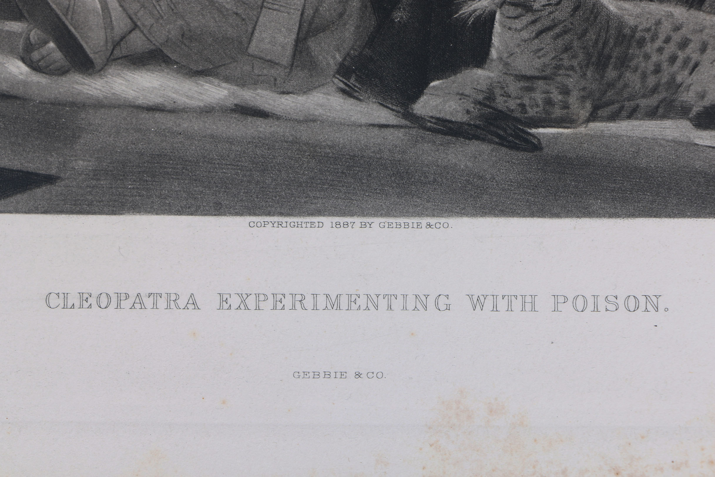 Collection of Antique Gebbie and Co. Photogravures