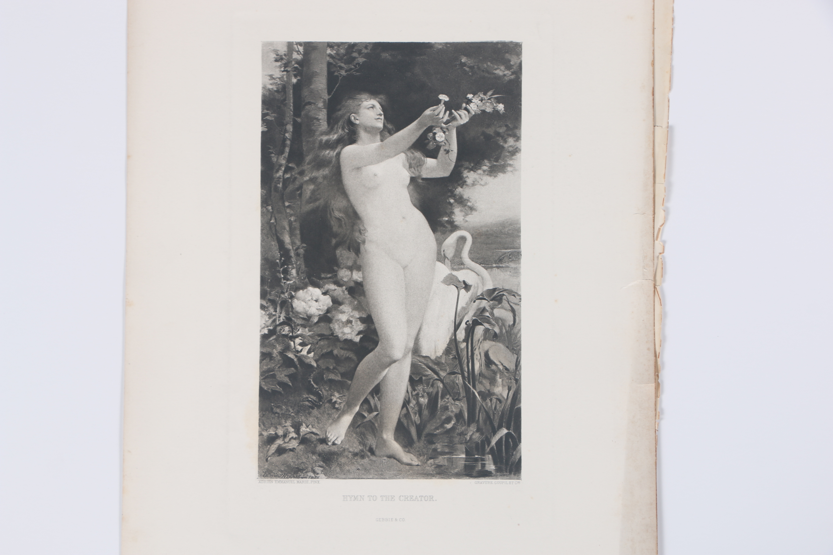 Collection of Antique Gebbie and Co. Photogravures