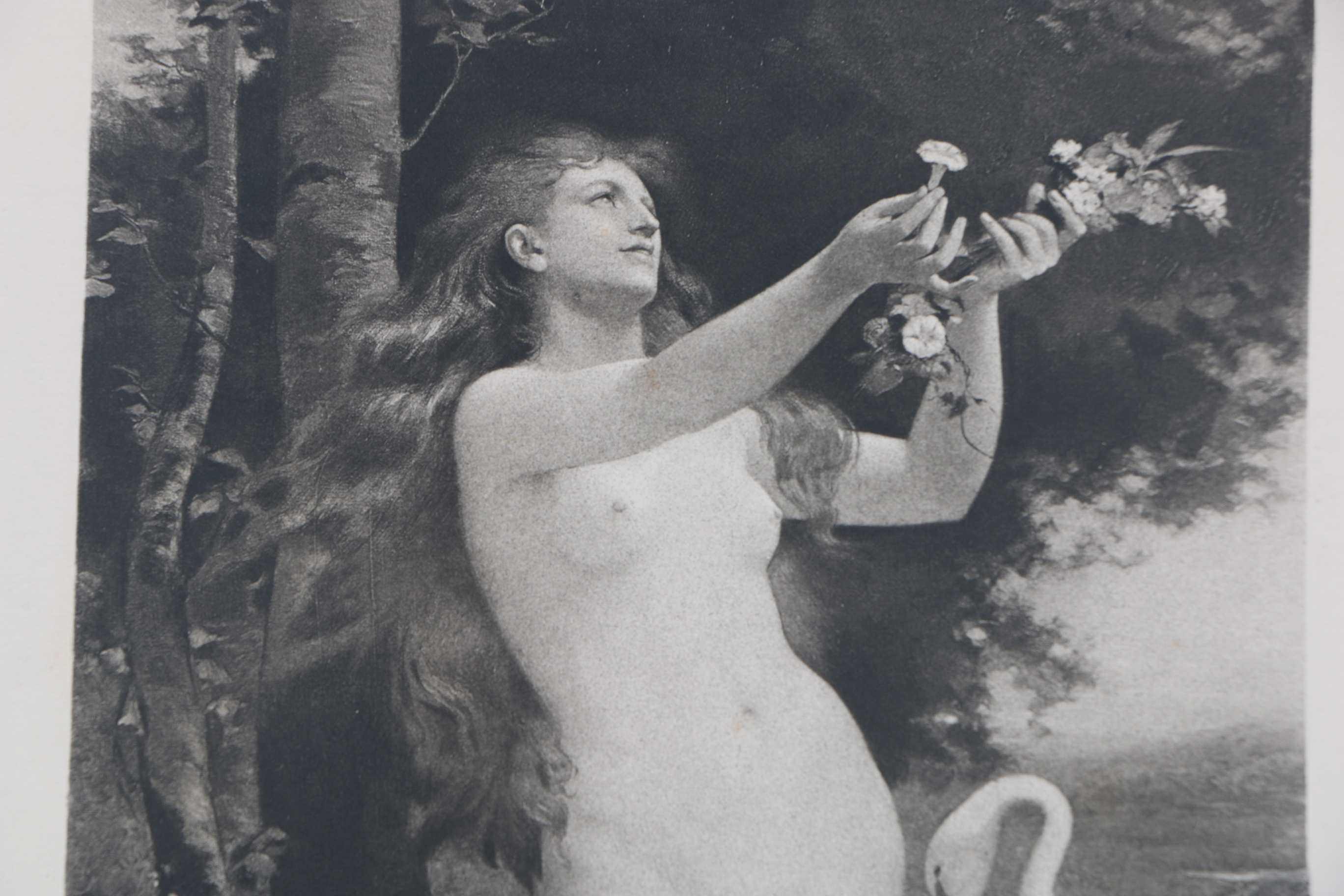 Collection of Antique Gebbie and Co. Photogravures