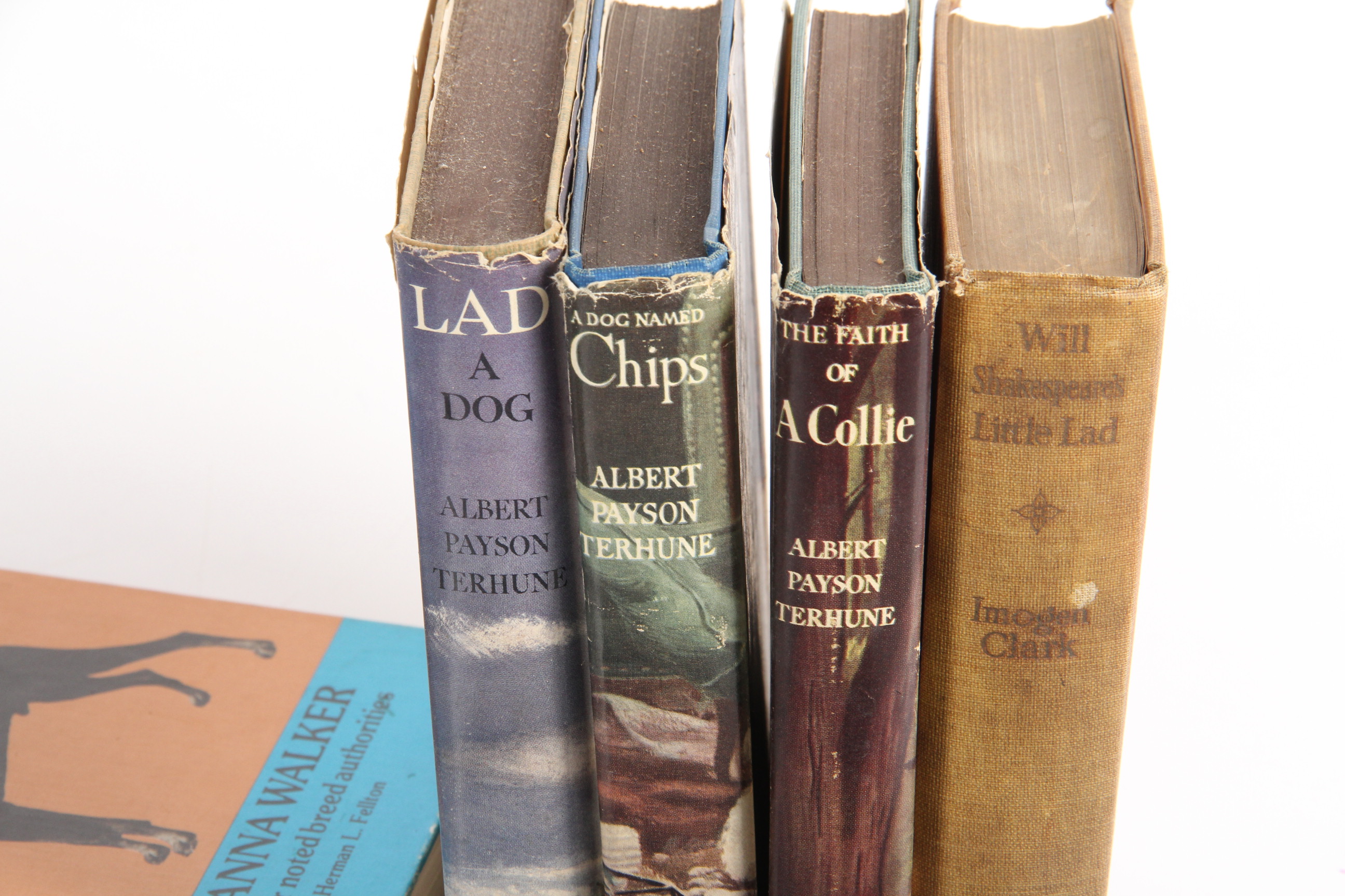 Vintage Children's Book Collection