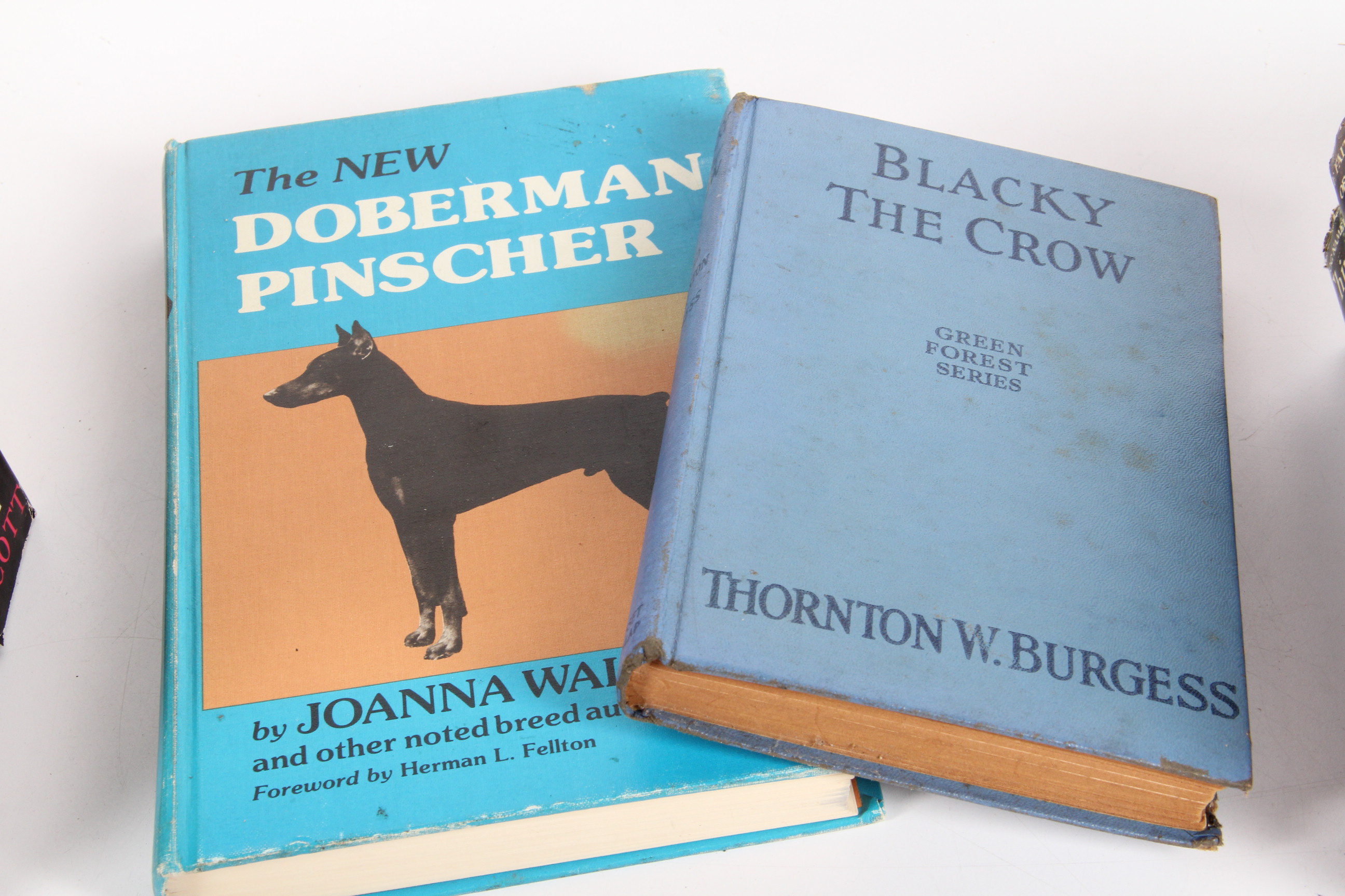 Vintage Children's Book Collection