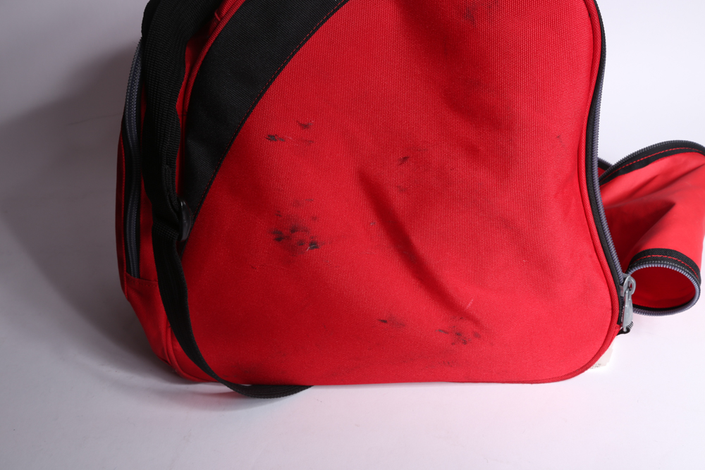 Nordica Ski Boots in Bag, Size 24.5