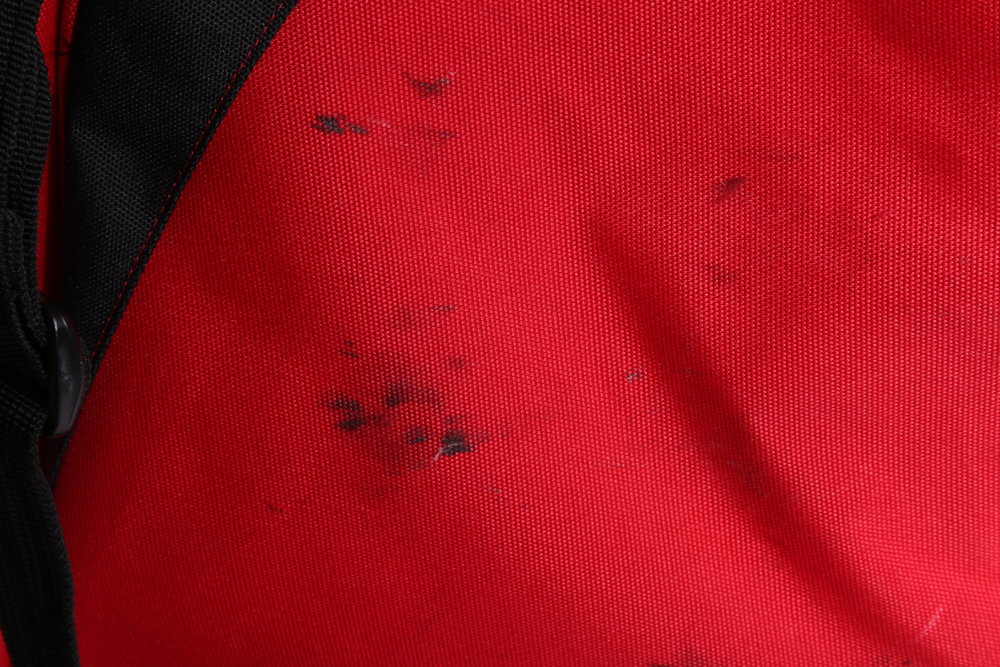 Nordica Ski Boots in Bag, Size 24.5