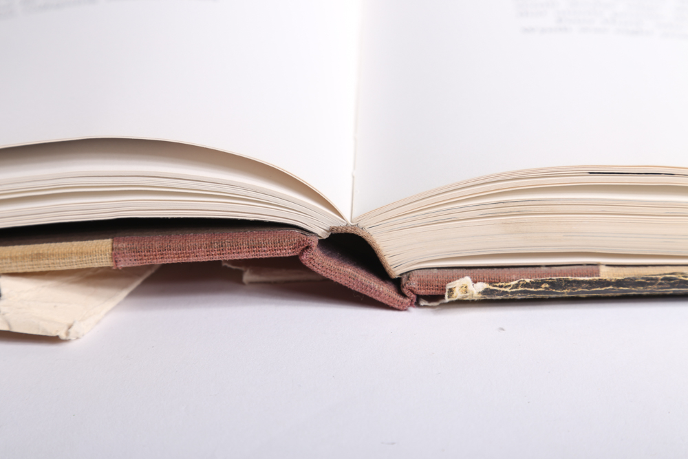 "Andrew Wyeth" Book First Printing