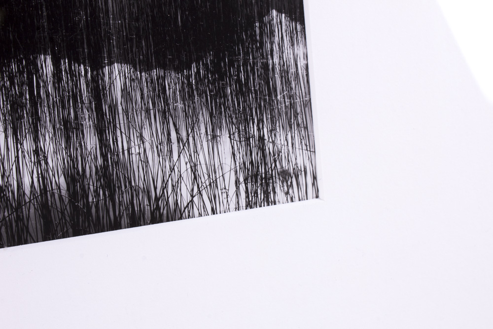 Brett Weston "Untitled" Black and White Framed Photograph