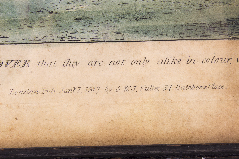 Antique Framed Hand Colored Etching