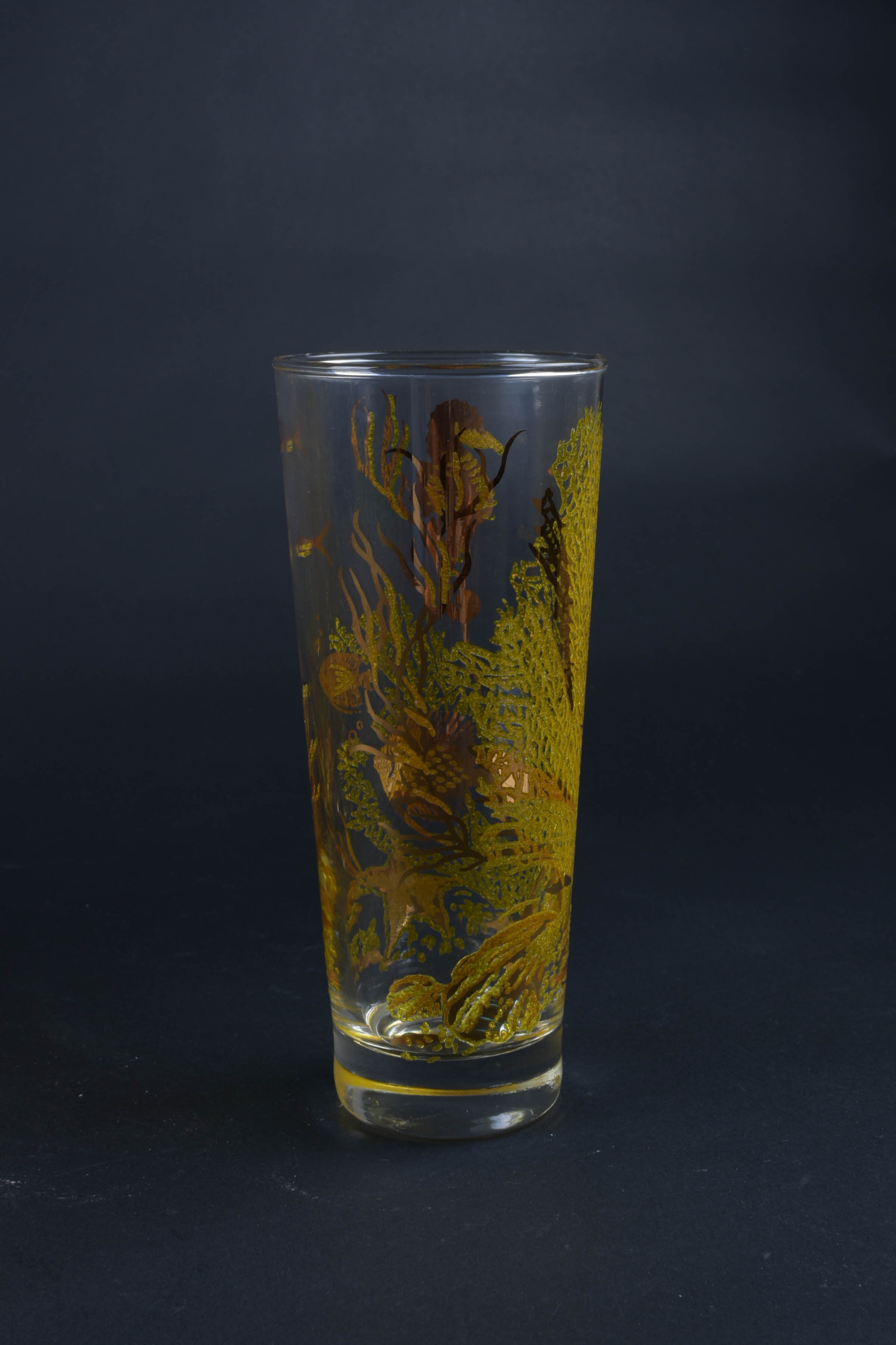 Vintage Aquatic Glasses