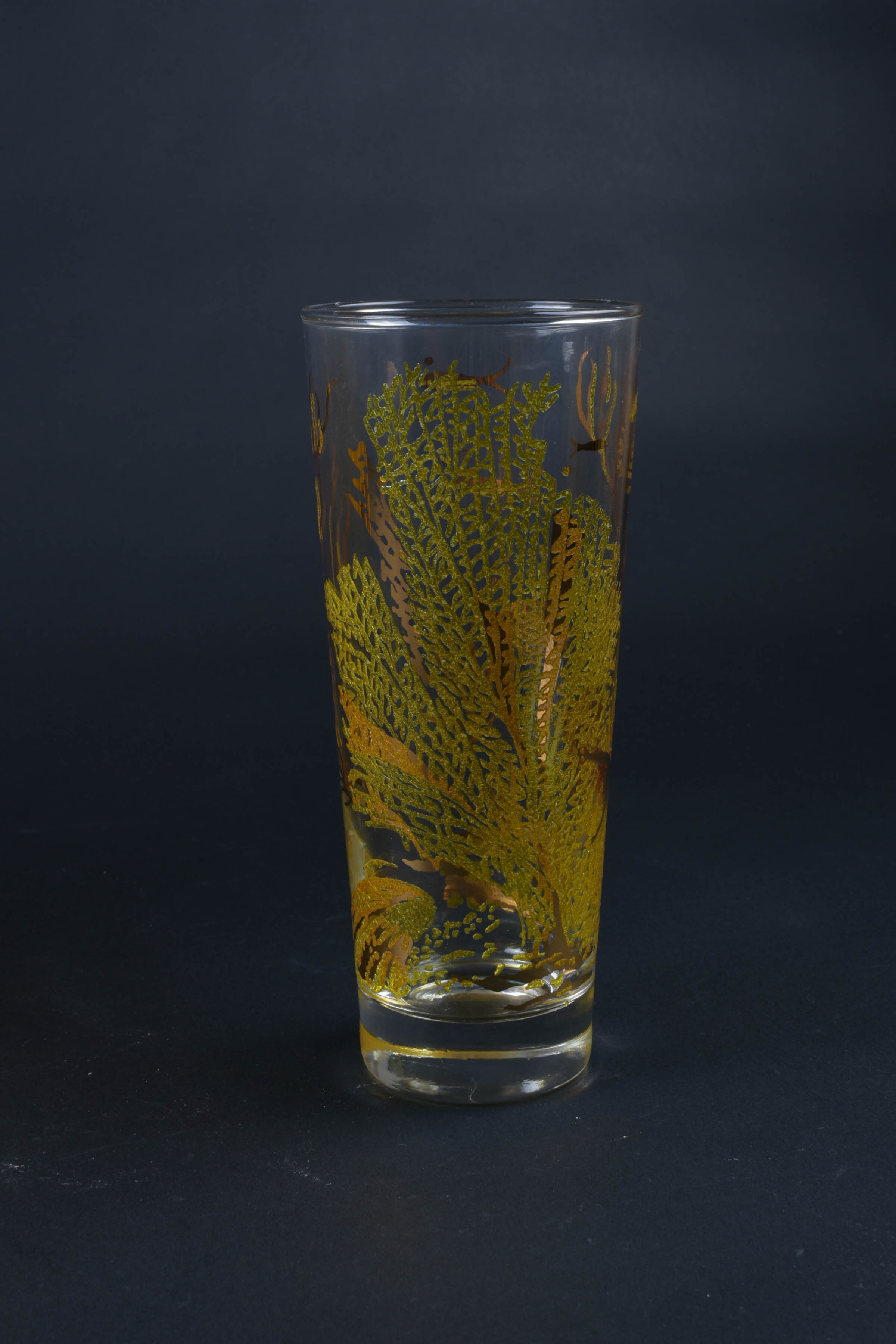 Vintage Aquatic Glasses